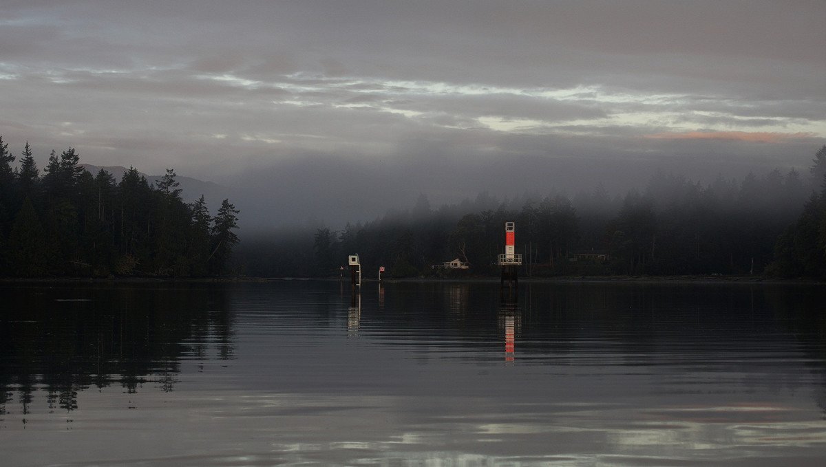 Morning fog in clam bay morning fog at clam bay between thetis and penelakut island