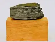 Chips de bois et charbon de bois.jpg