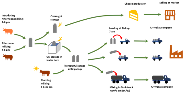 Scheme of the Colombian dairy value chain from milking to the transformation industry