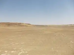 Egyptian Desert.jpg