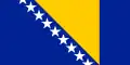 Flag of Bosnia and Herzegovina.png