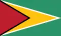 Flag of Guyana.png