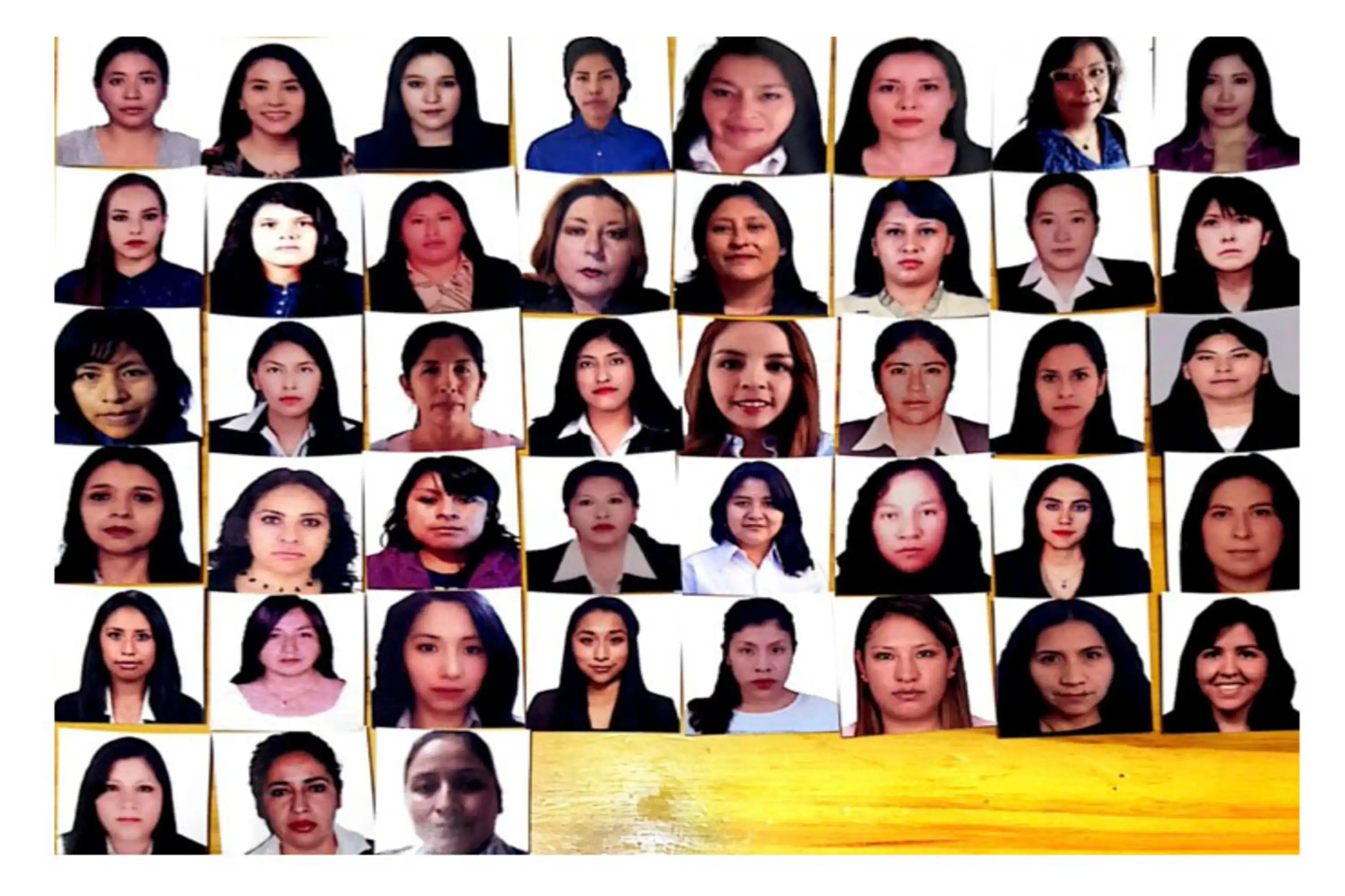 Factshhet PEERRII.JPG