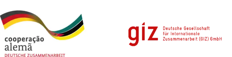 GIZ-BMZ logo.png