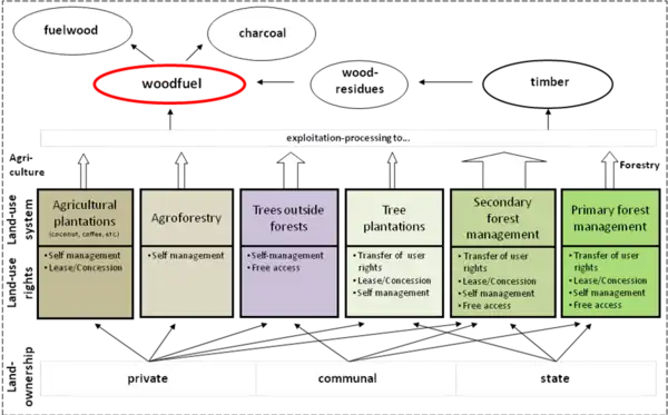 Origin of Woodfuels.png