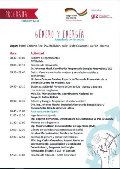 Programa de Genero y Energía.PNG