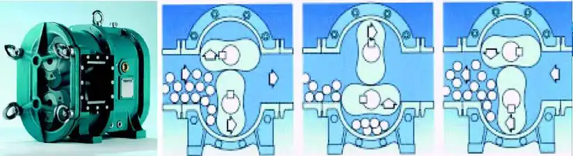 Rotary displacement pump.JPG