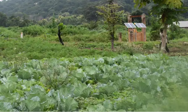 Solar-pump-EnDev-Benin.png