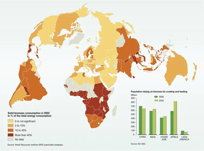 Solid-biomass-consumption-including-woodfuel 9764.jpeg