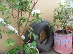 Tyre Tube Biogas Plant (inlet side).JPG