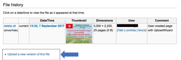 Upload a new version.png