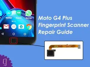 Fingerprint Sanner (Video)
