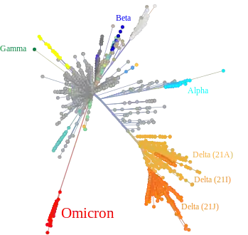 Omicron variant and other major or previous variants of concern of SARS-CoV-2 depicted in a tree scaled radially by genetic distance, derived from Nextstrain on 1 December 2021