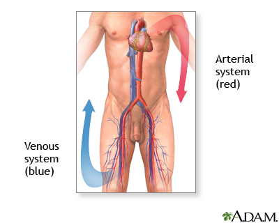 Venous thrombosis - series - Normal anatomy Venous thrombosis - series - Normal anatomy