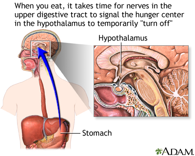 Hunger center in brain