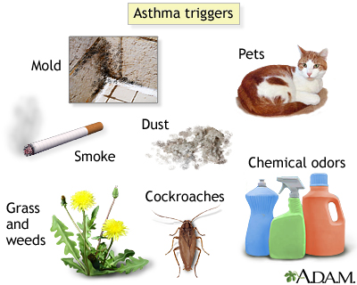 Asthma triggers Asthma triggers