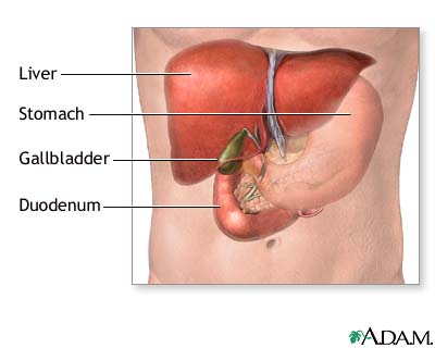 Gallbladder removal - Series Gallbladder removal - Series
