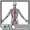 Blood flow Blood flow