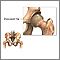 Congenital hip dislocation