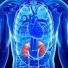 Addison Disease