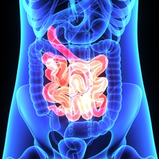 Malabsorption Syndromes