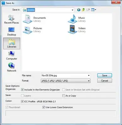 Customized Windows Forms SaveFileDialog
