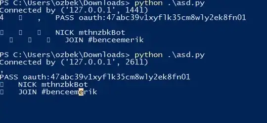 python socket server output image