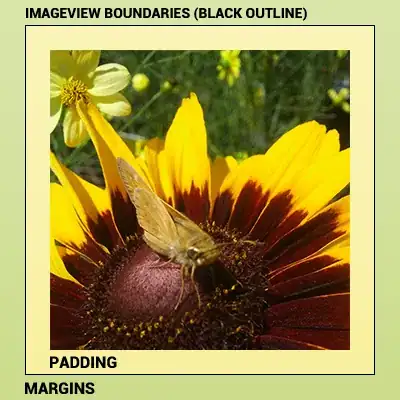 Products with data blurred out due to NDA