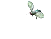 The screen should look like this