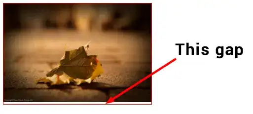 Image with a gap or white space under it