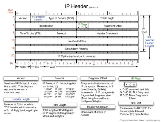 IP protocol format