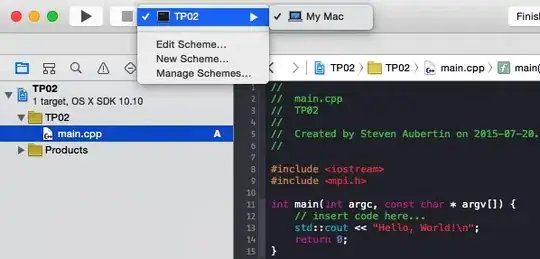 setting environment variable