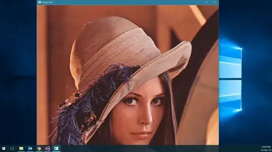 screen shot showing how the code displays on safari