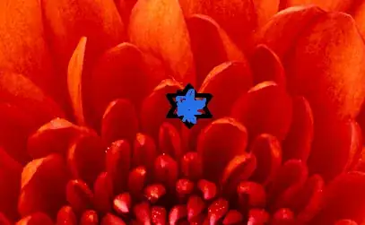 work Online test tool