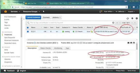 AWS public DNS address