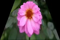 Settings - Android Studio Version