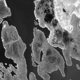 "Neusieldersee" in NIR, Data from Sentinel