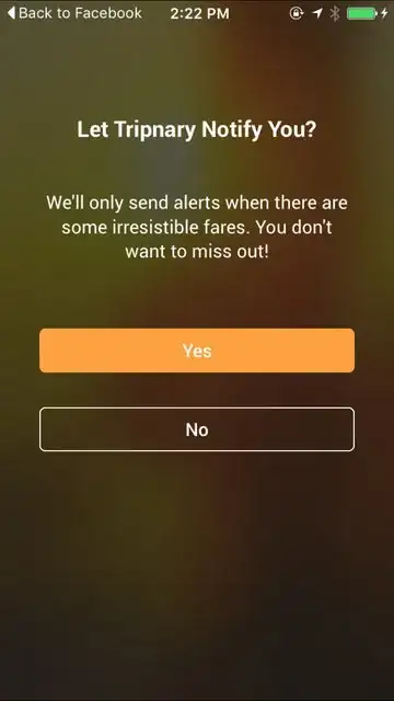Custom Tripnary Prompt