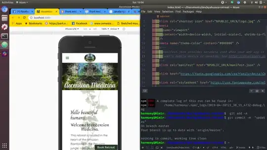 website in chrome developer tools