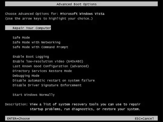 Screenshot of Advanced Boot Options screen