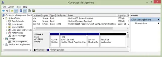 My disk management window