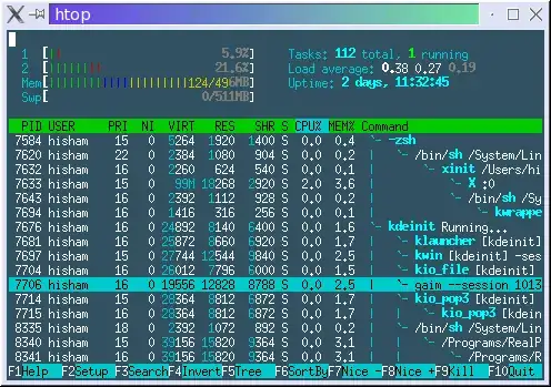 htop screenshot