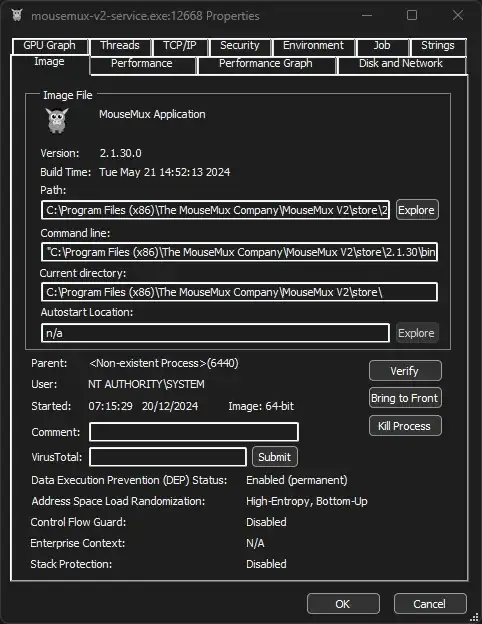 screenshot of process's details