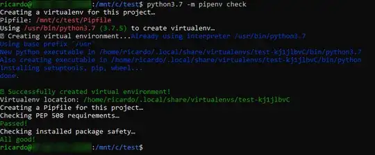 python3.7 -m pipenv check