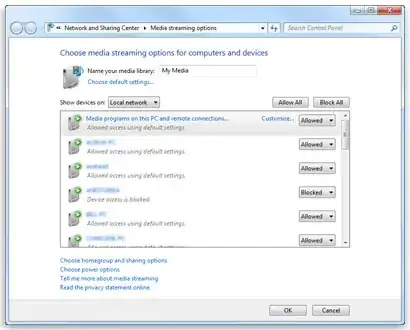 Media Streaming Options