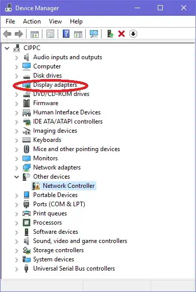 Image of Windows Device Manager Display adapters