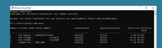 Disk 0 and Disk 1 are the two Drives that are part the Mirror