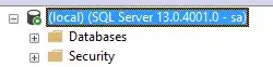 black border around selected connection, SQL Server
