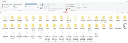 hidden files