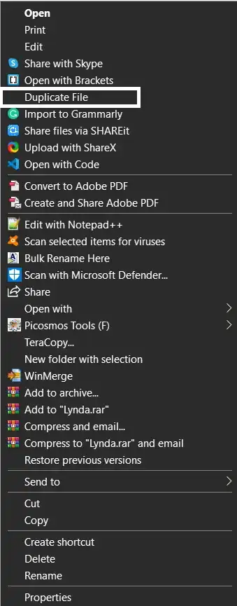 Duplicate file option